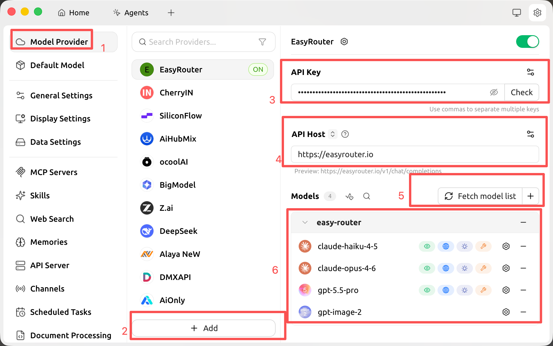 Filling in the API key and API host under Model Provider in Cherry Studio
