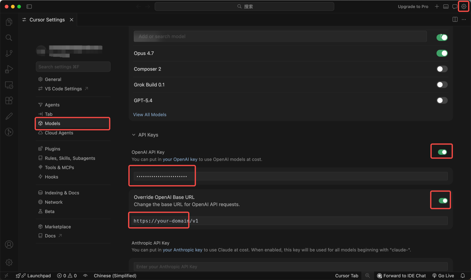 Cursor Models page after setup